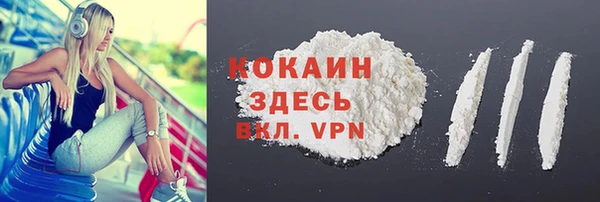 мдпв Лабытнанги